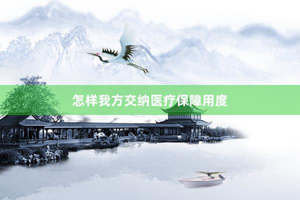 怎样我方交纳医疗保障用度
