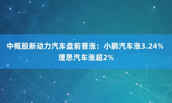 中概股新动力汽车盘前普涨：小鹏汽车涨3.24% 理思汽车涨超2%