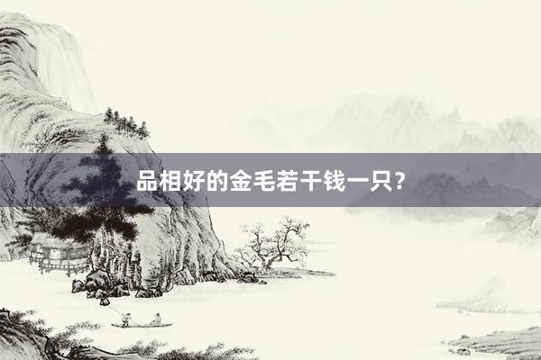 品相好的金毛若干钱一只？